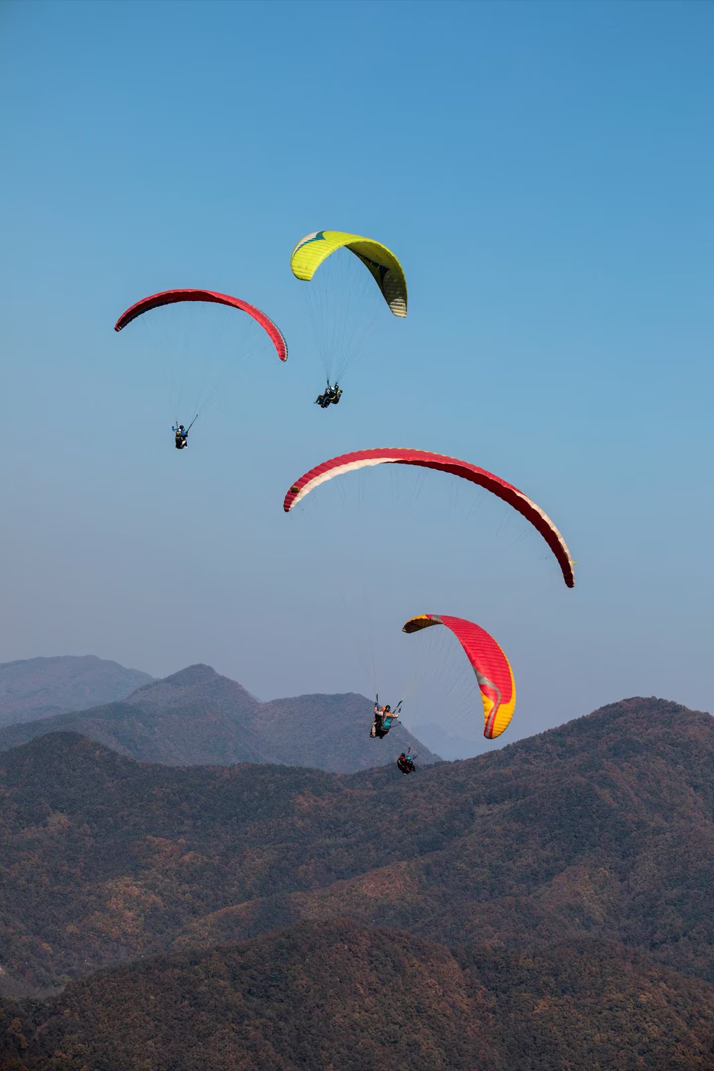 Four paragliders sharing a thermal above the hills