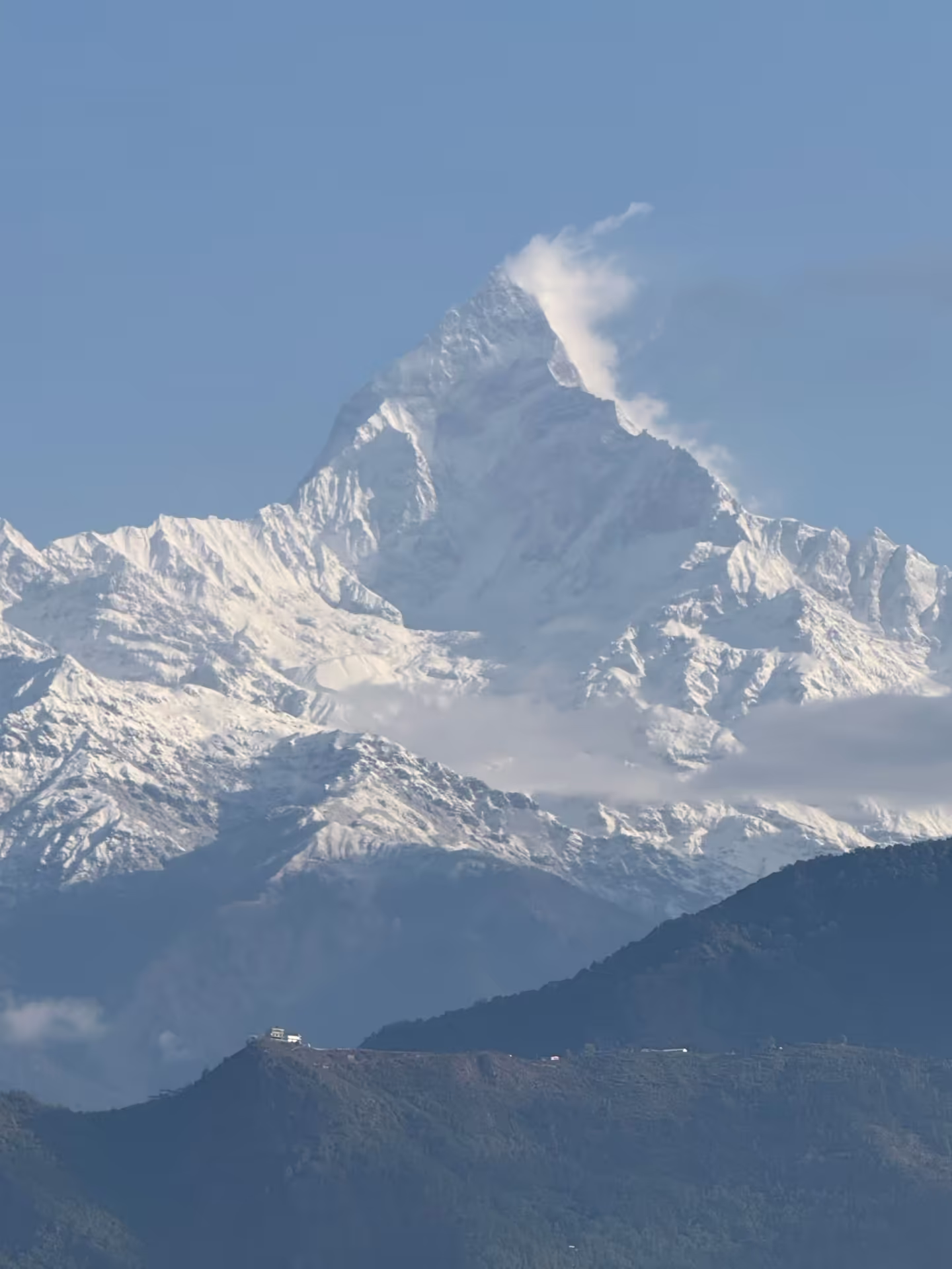 Full snow-capped Himalayan mountain range with forested lower slopes — the shared scenery of both Nepal and Bhutan