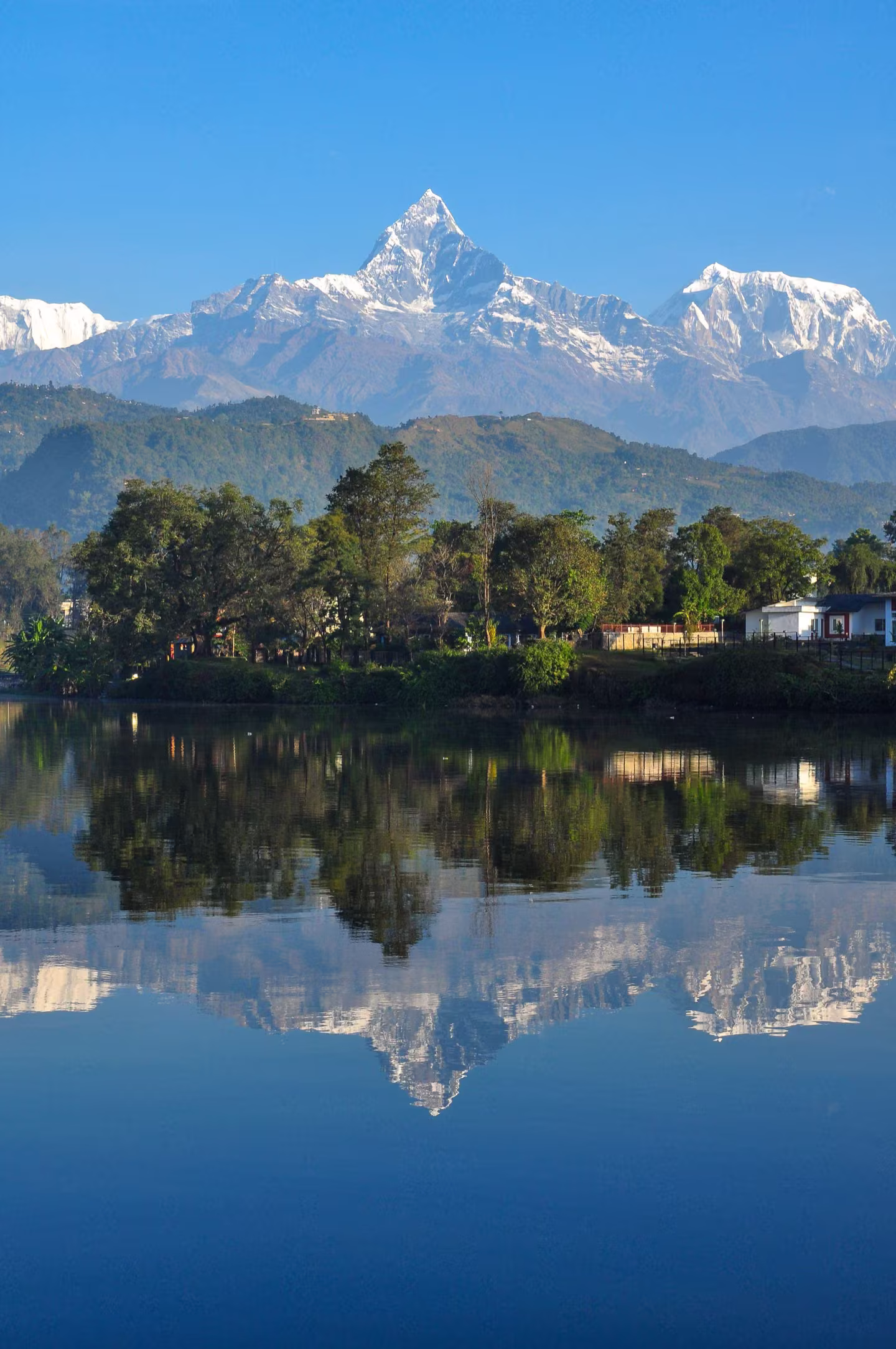 Machapuchare (Fish Tail Mountain) perfectly reflected on the calm surface of Phewa Lake at dawn