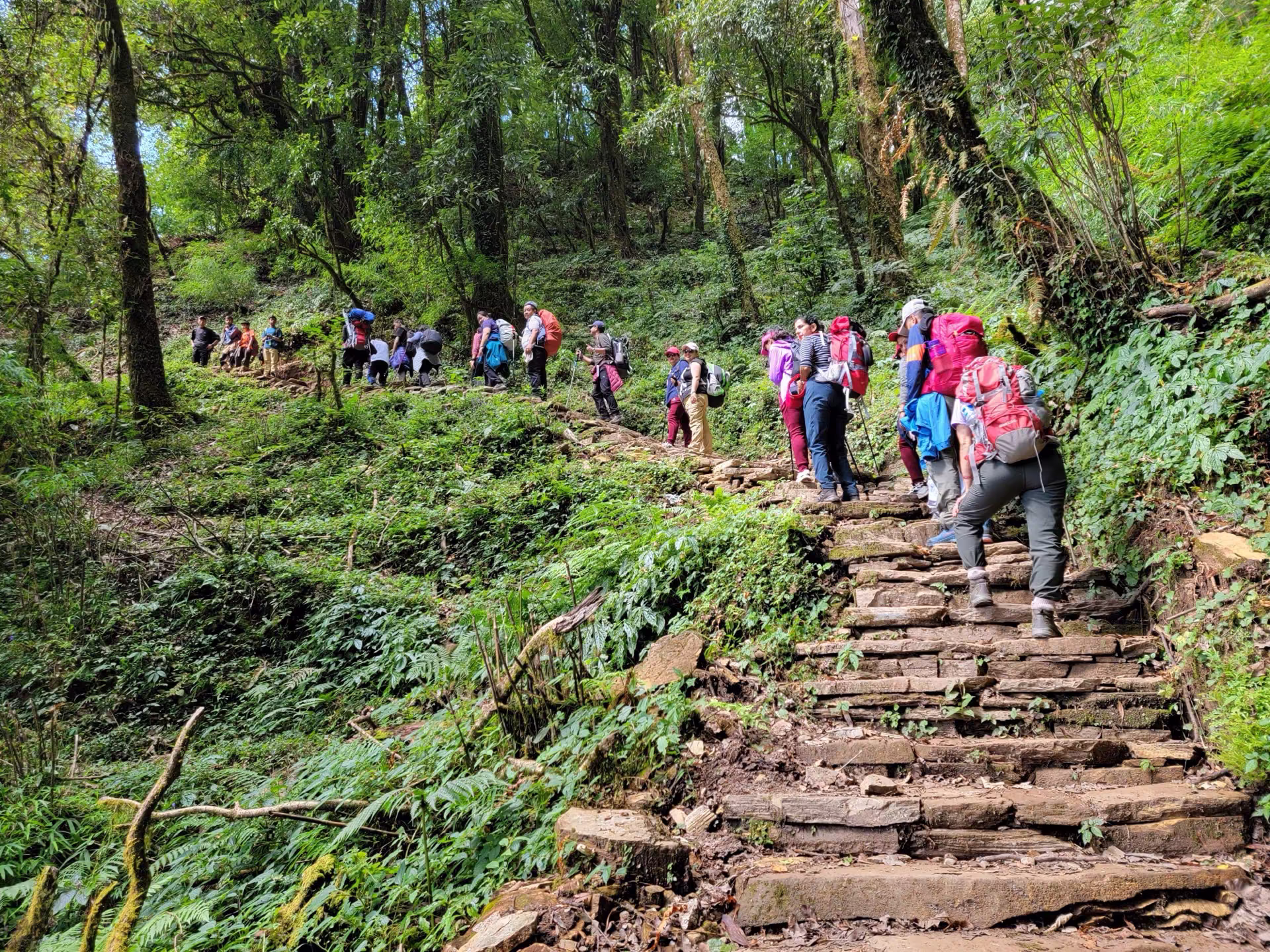Queue of trekkers walking single file along a Nepal mountain trail